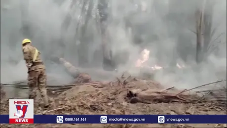 Bolivia ban bố tình trạng khẩn cấp do cháy rừng