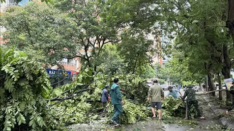 Không để người dân gặp khó khăn do ảnh hưởng của mưa bão ở Hà Nội