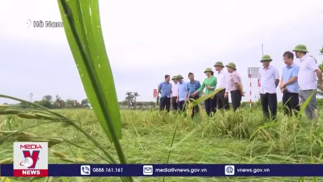 Hà Nam tập trung khắc phục hậu quả bão số 3