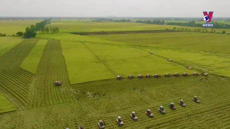 Noticiero semanal - Bản tin tiếng Tây Ban Nha ngày 08/9/2024