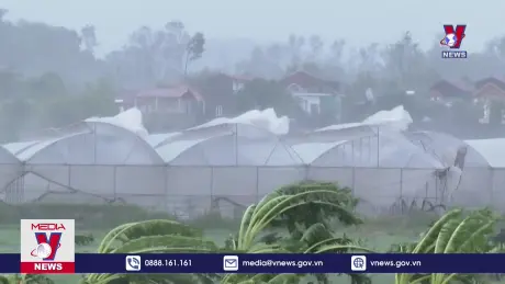 Những việc cần làm sau bão