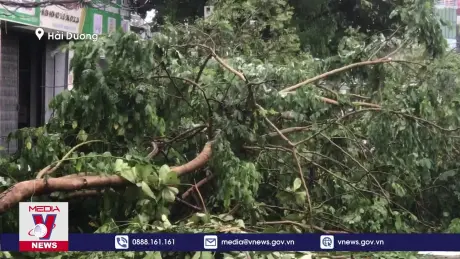 Người dân Hải Dương dọn dẹp sau bão