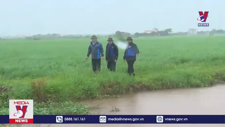 Bản tin thời sự 11h ngày 08/9/2024