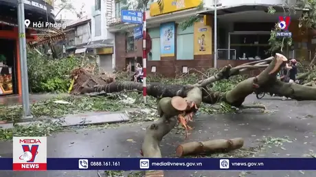 Hải Phòng Khẩn trương khắc phục hậu quả bão số 3