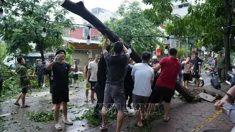 Người dân Thủ đô chung tay khắc phục hậu quả cơn bão số 3