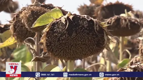 Các nước Balkan ghi nhận mùa Hè nóng nhất thế kỷ