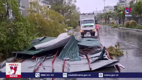 Bản tin Thời sự 17h ngày 8/9/2024