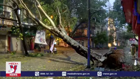 Tổng hợp sơ bộ thiệt hại do bão số 3 tại một số tỉnh thành