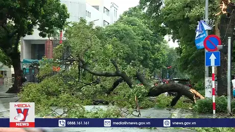 Thời tiết đêm 8/9: Hầu hết các khu vực có mưa dông, kèm lốc sét, gió giật mạnh