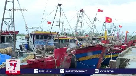 Thái Bình kiểm tra công tác khắc phục ảnh hưởng bão