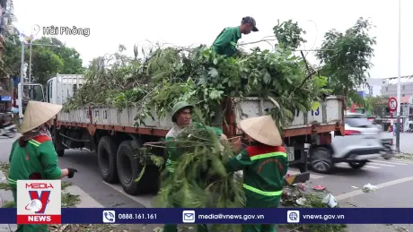 Hải Phòng ưu tiên xử lý cây xanh gẫy đổ