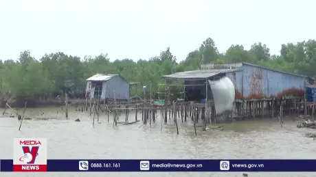 Cà Mau cần hỗ trợ 1.300 tỷ đồng để khắc phục sạt lở bờ biển