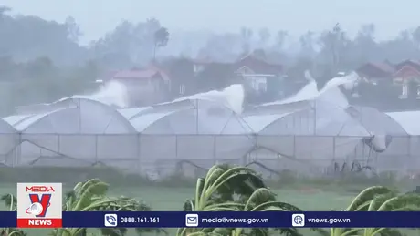 Khẩn trương khắc phục thiệt hại nông nghiệp sau bão