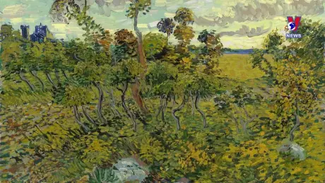 Thông điệp lịch sử: Danh họa Van Gogh