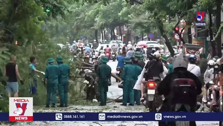 Hà Nội căng mình dọn dẹp cây xanh sau bão