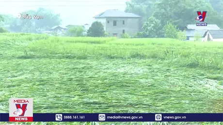 Bản tin thời sự 18h ngày 10/9/2024