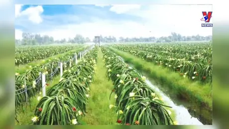 Hộp thư VNews: “Bẫy” góp vốn khiến doanh nghiệp điêu đứng?