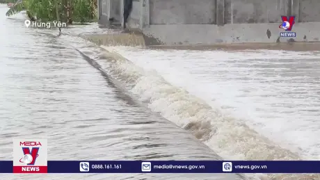 Hưng Yên phát lệnh báo động I trên tuyến đê tả sông Hồng và sông Luộc