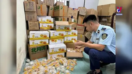 Đường dây nóng 389 ngày 10/9/ 2024