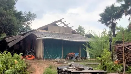 Hà Nội hỗ trợ 51 tỷ đồng cho các tỉnh, thành phố bị thiệt hại nặng nề do bão số 3