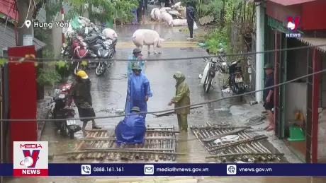 Hưng Yên báo động 3 trên tuyến đê tả sông Hồng