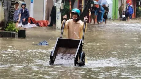 Sẵn sàng di dời người dân vùng lũ Phúc Xá - Ba Đình (Hà Nội) ra khỏi bờ đê sông Hồng