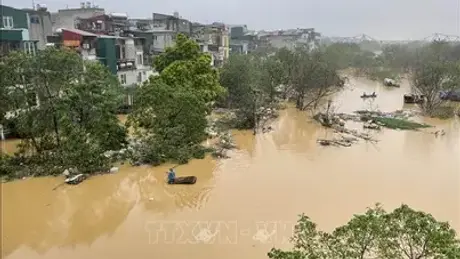 201 người chết và mất tích do bão số 3 cùng mưa lũ tính đến 9 giờ ngày 11/9