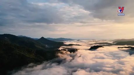 Nhật trình kinh tế ngày 11/9/2024