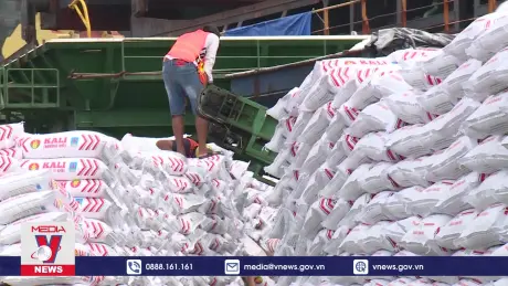 Hỗ trợ 200 tấn gạo cho 14 địa phương