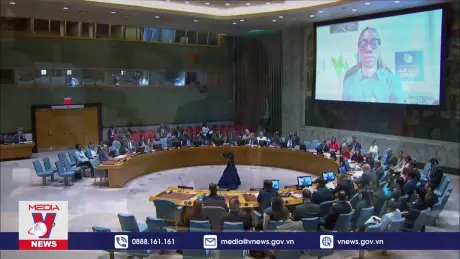 Việt Nam khẳng định cam kết đối với hoạt động gìn giữ hoà bình LHQ