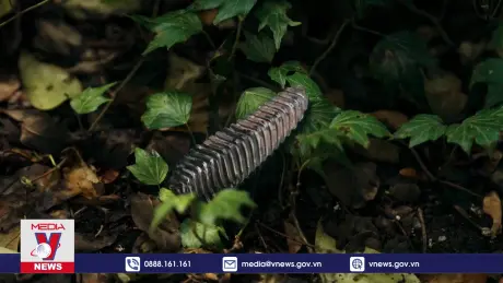 Hệ thống cảnh báo sớm cháy rừng đạt giải thưởng James Dyson