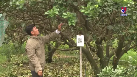 Khoa học và Công nghệ ngày 12/09/2024