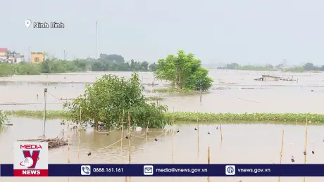 Sẵn sàng mọi phương án thoát lũ sông Hoàng Long, Ninh Bình