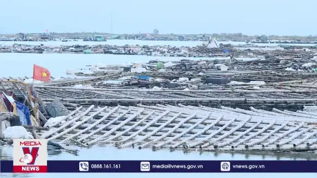 Người nuôi biển cần vốn khôi phục sau bão