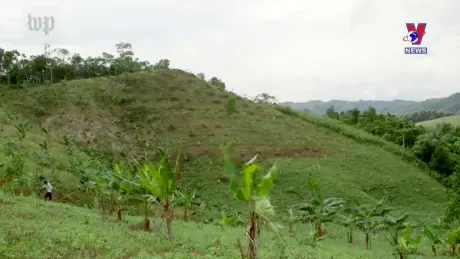 Tương Lai Xanh ngày 12/9/2024