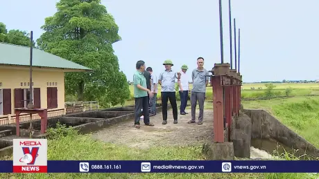 Thanh Hóa tăng cường tiêu thoát nước bảo vệ lúa mùa