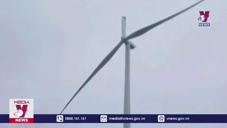 Gãy cánh quạt điện gió tại Sóc Trăng