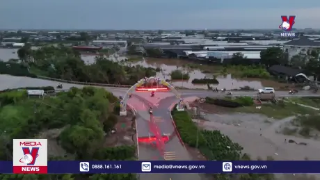 Người trồng hoa, cây cảnh nguy cơ trắng tay vì nước lũ