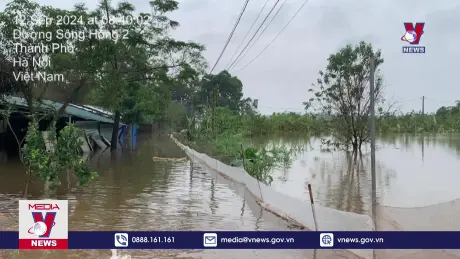 Thiệt hại sau vỡ đê bối ở Phú Xuyên, Hà Nội