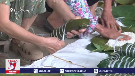 Những tấm bánh chưng gửi nhân dân vùng lũ