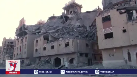 Thúc đẩy giải pháp hai nhà nước cho Palestine - Israel