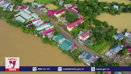 Sạt lở bờ sông Thao tiếp tục gây thiệt hại ở Yên Bái 