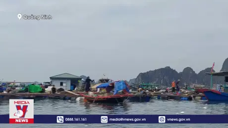 Người nuôi trồng thủy sản ở Quảng Ninh điêu đứng vì bão số 3