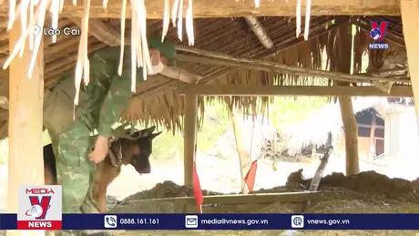 Đội chó nghiệp vụ phát hiện thêm thi thể nạn nhân tại làng Nủ