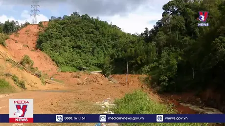 Bản tin Thời sự 11h ngày 14/9/2024