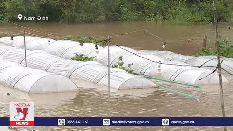 Nam Định nhanh chóng khắc phục ảnh hưởng của mưa lũ