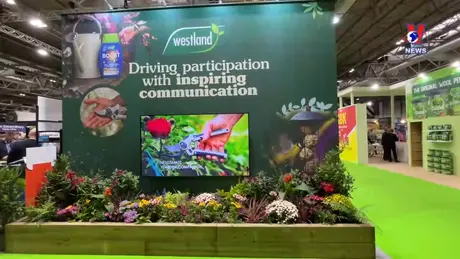 Journal hebdomadaire - Bản tin tiếng Pháp ngày 16/9/2024