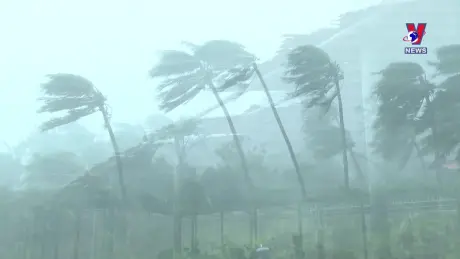 Đời sống toàn cầu ngày 15/9/2024