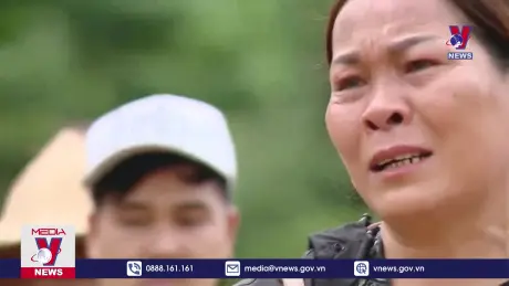 Bản tin thời sự 13h ngày 15/9/2024