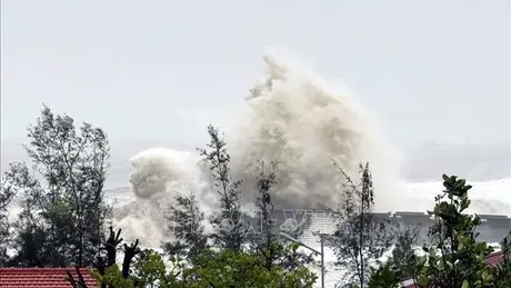 Các tỉnh, thành phố từ Quảng Ninh đến Bình Thuận theo dõi chặt diễn biến áp thấp nhiệt đới